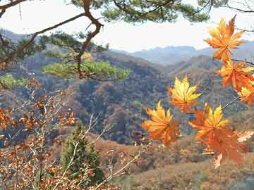 全國(guó)夏令營(yíng)十大排名，探索最佳夏令營(yíng)之旅，全國(guó)夏令營(yíng)十大排名揭曉，最佳夏令營(yíng)之旅探索指南