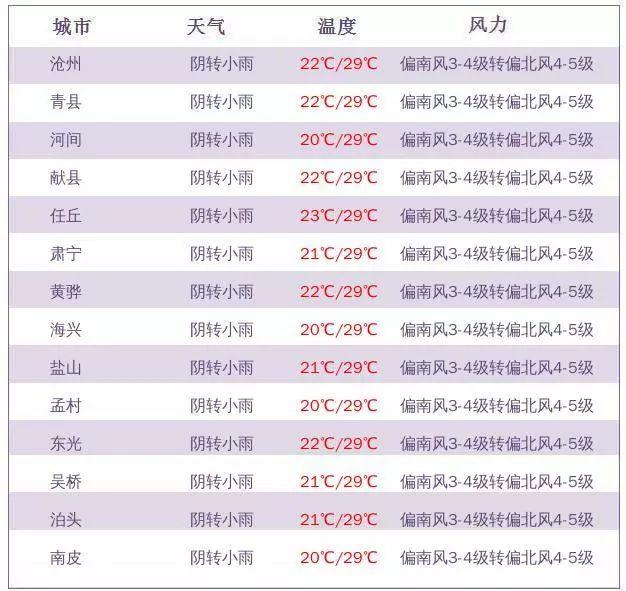 滄州公租房最新消息全面解讀，滄州公租房最新動(dòng)態(tài)全面解析