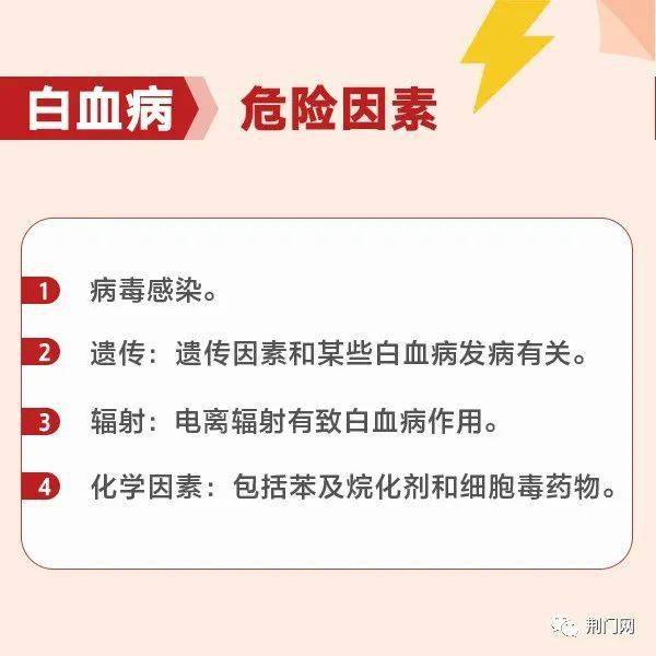 荊門最新招聘求職，探索職業(yè)發(fā)展的無限可能，荊門最新招聘求職信息，探索職業(yè)發(fā)展無限機(jī)遇