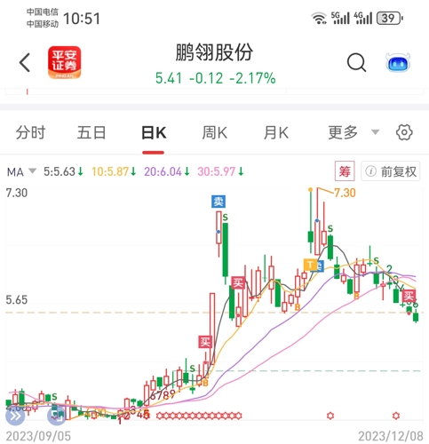 鵬翎股份最新消息全面解讀，鵬翎股份最新消息全面解讀與分析