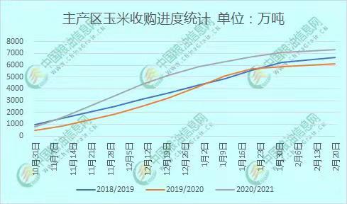 全國(guó)玉米價(jià)格最新行情分析，全國(guó)玉米價(jià)格最新行情解析