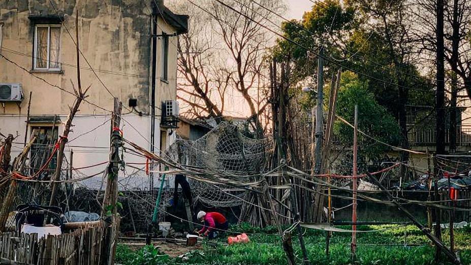 上海最新拆遷動(dòng)態(tài)，變化中的城市面貌與居民生活，上海拆遷最新動(dòng)態(tài)，城市面貌與居民生活的變遷