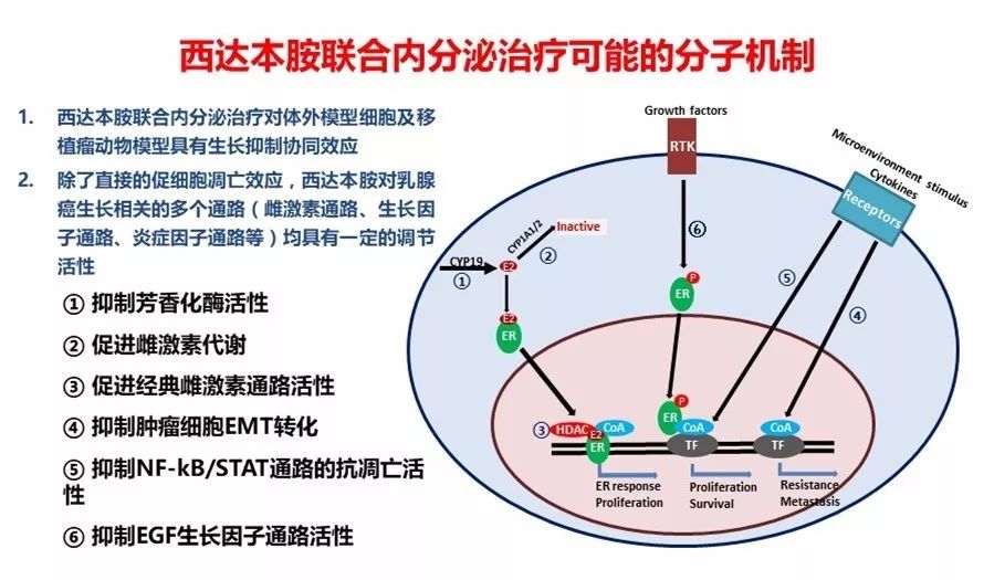 西達(dá)本胺最新消息，研發(fā)進(jìn)展、應(yīng)用前景及市場(chǎng)趨勢(shì)分析，西達(dá)本胺最新研發(fā)進(jìn)展、應(yīng)用前景與市場(chǎng)需求分析，最新消息和市場(chǎng)趨勢(shì)探討