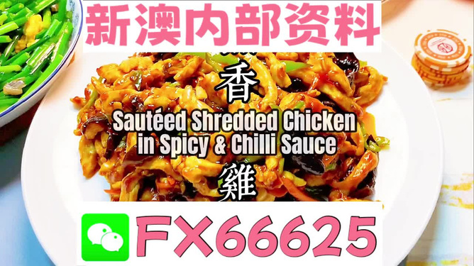 新奧天天精準資料大全，探索與解析，新奧天天精準資料大全，深度探索與全面解析