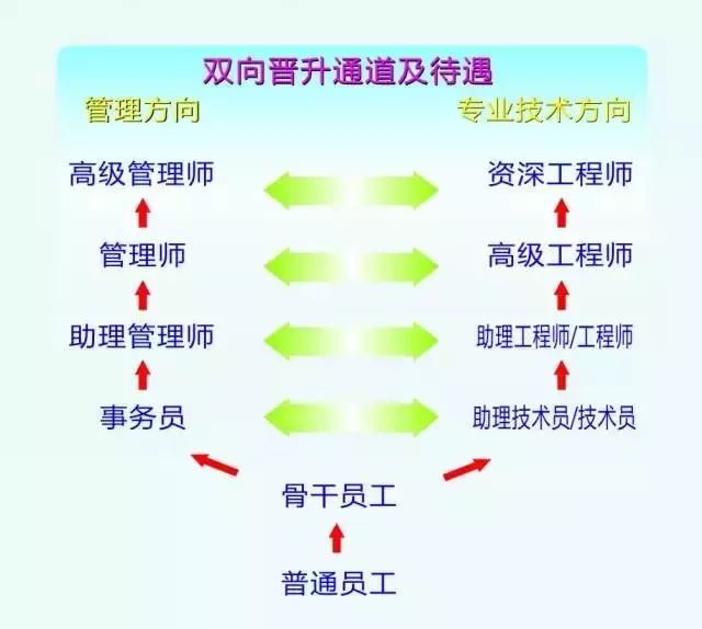 立訊精密最新招聘信息概覽，立訊精密最新招聘信息全面解析