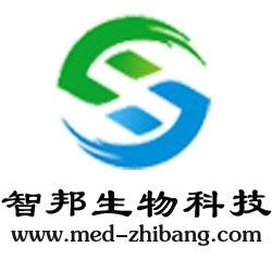 武漢維新智云科技有限公司，引領(lǐng)科技前沿，塑造數(shù)字未來，武漢維新智云科技，引領(lǐng)數(shù)字未來，科技前沿領(lǐng)航者