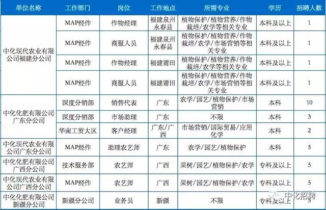 中化集團最厲害的三個職位探討，中化集團頂尖職位深度解析，揭秘最厲害的三個職位的魅力與職責