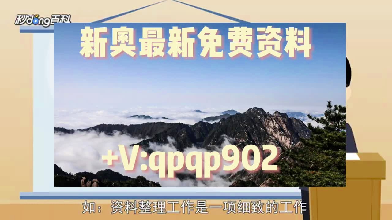 新奧2024年免費(fèi)資料大全詳解，新奧2024年免費(fèi)資料大全全面解析