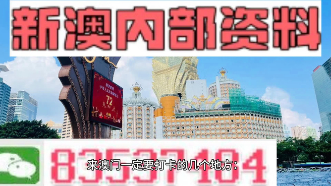 警惕新澳新澳門正版資料的潛在風(fēng)險——揭示違法犯罪問題，警惕新澳新澳門正版資料的潛在風(fēng)險，揭示違法犯罪真相