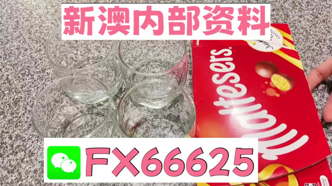 澳門正版資料免費大全新聞——揭示違法犯罪問題，澳門正版資料免費大全新聞揭秘違法犯罪問題