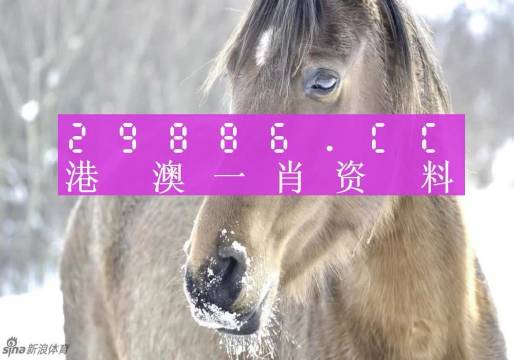 澳門精準(zhǔn)一肖一碼100%，揭示背后的違法犯罪問題，澳門精準(zhǔn)一肖一碼背后的違法犯罪問題揭秘