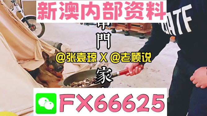 管家婆免費資料大全公開，探索與解析，管家婆免費資料大全揭秘，探索與解析