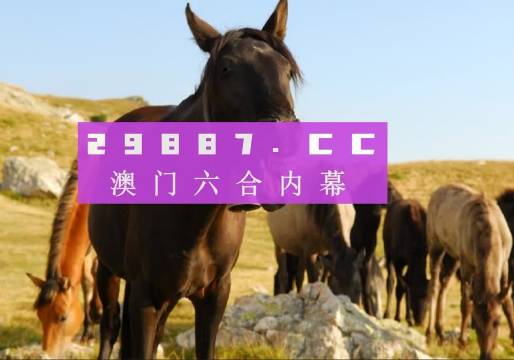 澳門管家婆免費(fèi)資料查詢系統(tǒng)，探索與解析（2024版），澳門管家婆免費(fèi)資料查詢系統(tǒng)解析（最新2024版）