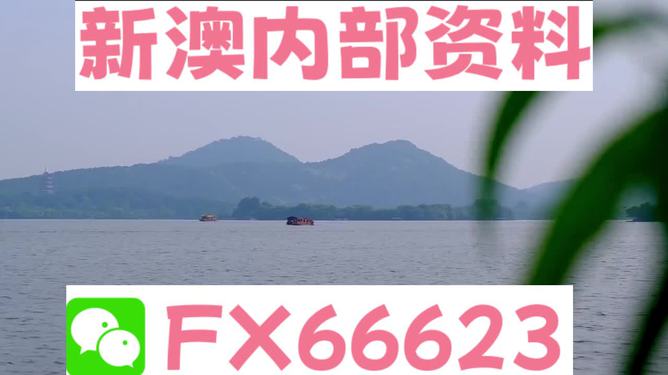 揭秘新澳精準(zhǔn)資料大全背后的真相，警惕違法犯罪風(fēng)險(xiǎn)，揭秘新澳精準(zhǔn)資料背后的真相與犯罪風(fēng)險(xiǎn)警示