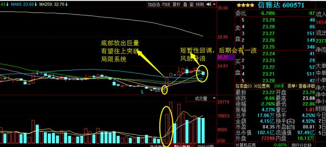 浙大網(wǎng)新為何不漲，深度探究與理性分析，浙大網(wǎng)新股價(jià)不漲背后的原因深度探究與理性分析