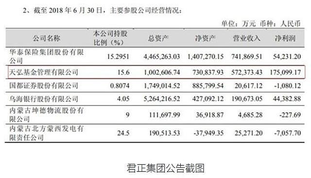 君正集團(tuán)未來估值，展望與預(yù)測