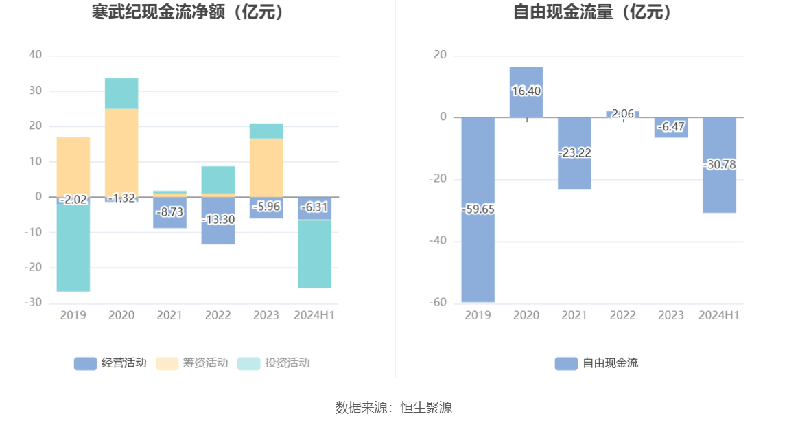 寒武紀(jì)2024年目標(biāo)價(jià)的深度解析與展望，寒武紀(jì)2024年目標(biāo)價(jià)的深度解析及展望，未來趨勢(shì)與市場預(yù)測(cè)