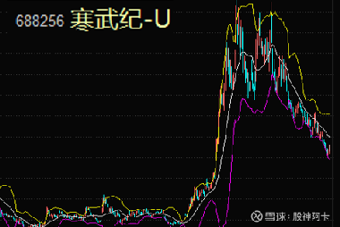 寒武紀(jì)重組最新消息，引領(lǐng)科技變革的新篇章，寒武紀(jì)重組引領(lǐng)科技變革新篇章，最新消息揭秘