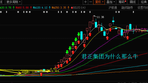 君正云通，一只10倍牛股的成長之路，君正云通，牛股成長之路揭秘，邁向十倍增長之路