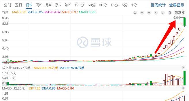 君正集團，是妖股還是價值投資之選？，君正集團，價值投資還是妖股之爭？