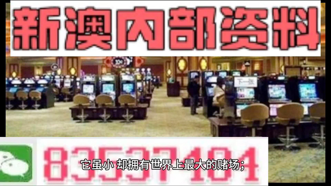 探索2024新澳精準(zhǔn)正版資料的價值與重要性，探索2024新澳精準(zhǔn)正版資料的重要性與價值