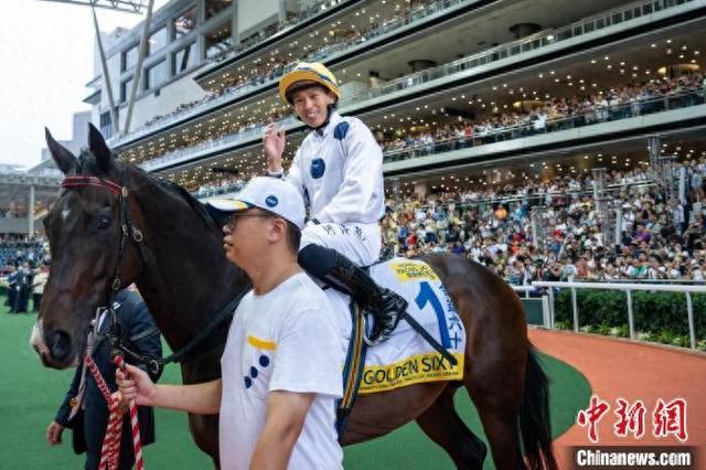 香港特馬王資料免費(fèi)公開，揭露違法犯罪問題的重要性，香港特馬王資料揭露違法犯罪問題的重要性，公開資料揭示真相