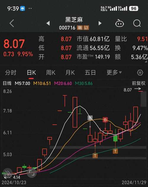 黑芝麻股票，未來能否攀升至20元？，黑芝麻股票未來走勢預測，能否沖破20元大關？