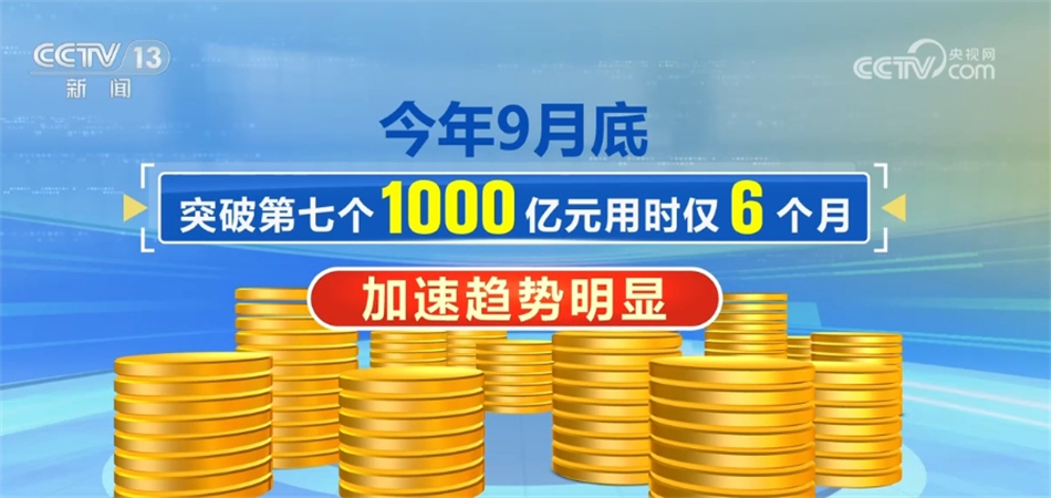 關于新澳2024年精準一肖一碼，一個關于違法犯罪問題的探討，關于新澳2024年精準一肖一碼，違法犯罪問題的探討與警示