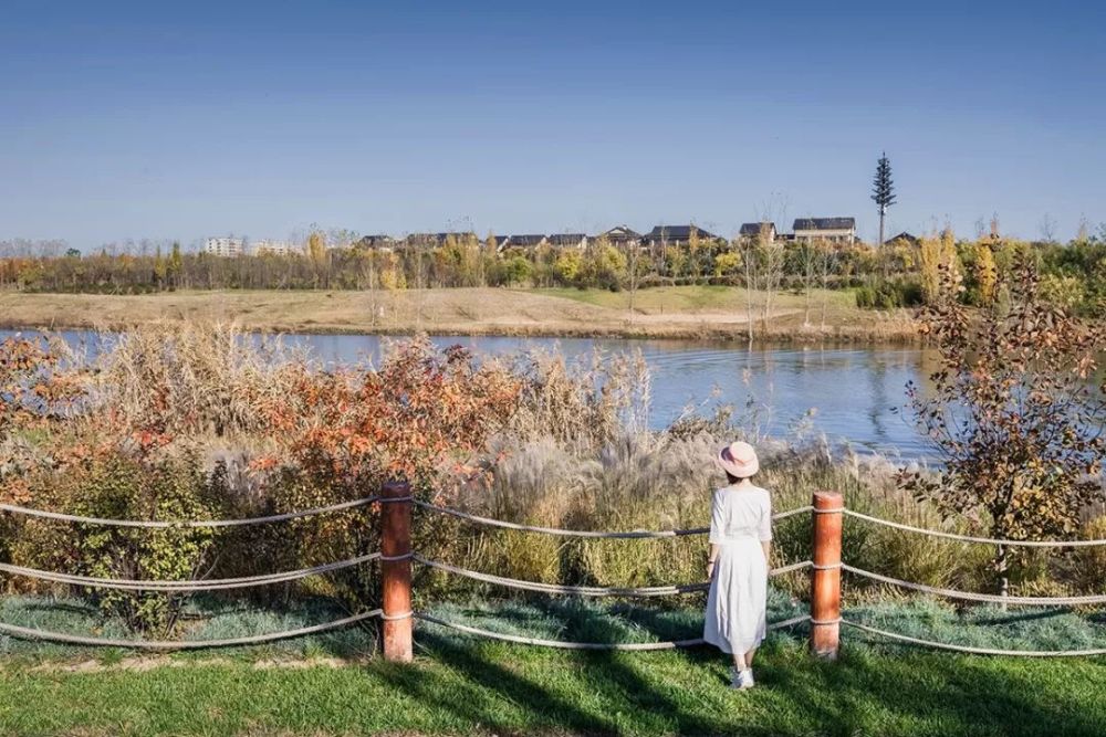 西安最新濕地公園，生態(tài)與文化的完美融合，西安最新濕地公園，生態(tài)與文化的和諧共融