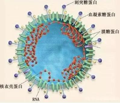 澳門 第838頁