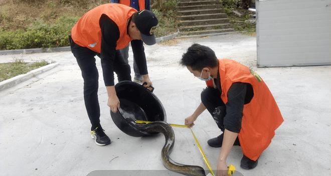 男子撞死二級保護動物被判賠1.5萬，法律對野生動物保護的警示，男子撞死二級保護動物獲判賠1.5萬，法律對野生動物保護的嚴肅警示