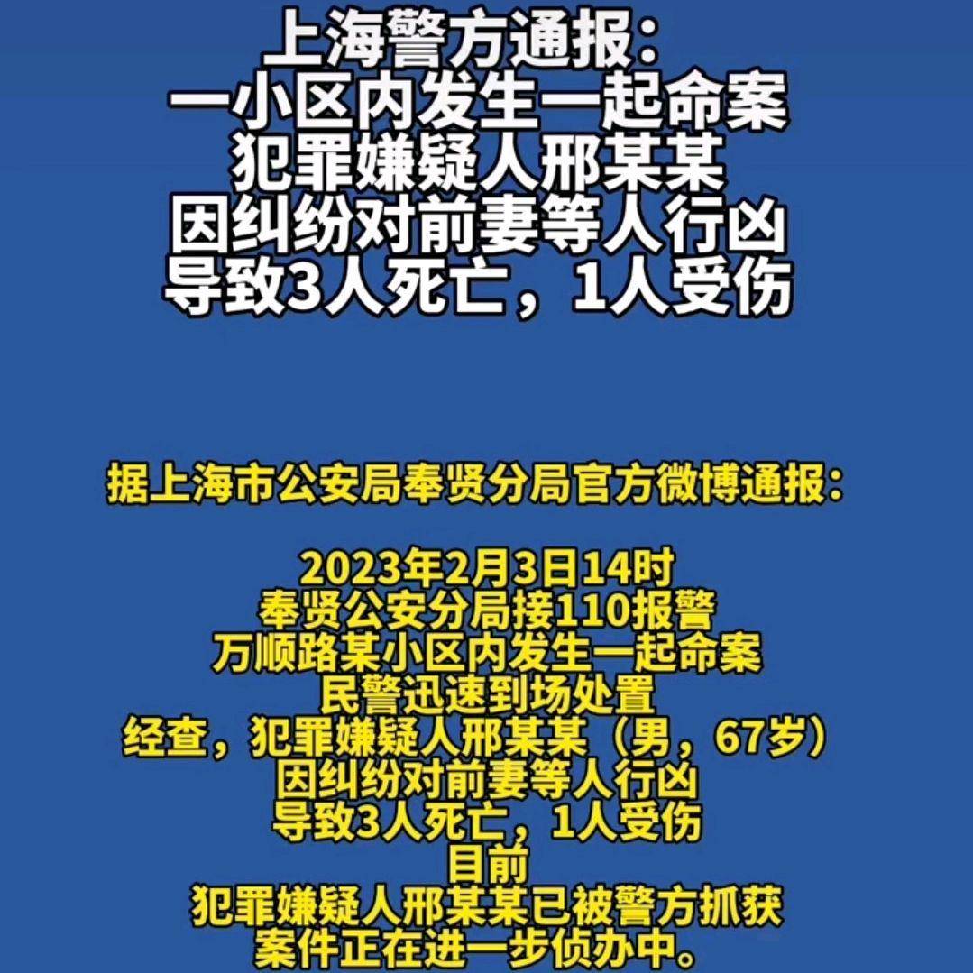 上海某小區(qū)發(fā)生刑案致一死，悲劇背后的警示與反思，上海小區(qū)刑案致一死，悲劇背后的警示與反思