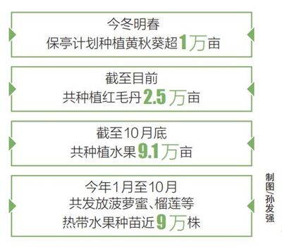 警惕二肖四碼中特期期準一肖——揭露背后的風險與犯罪問題，警惕二肖四碼中特期期準一肖背后的風險與犯罪陷阱揭秘