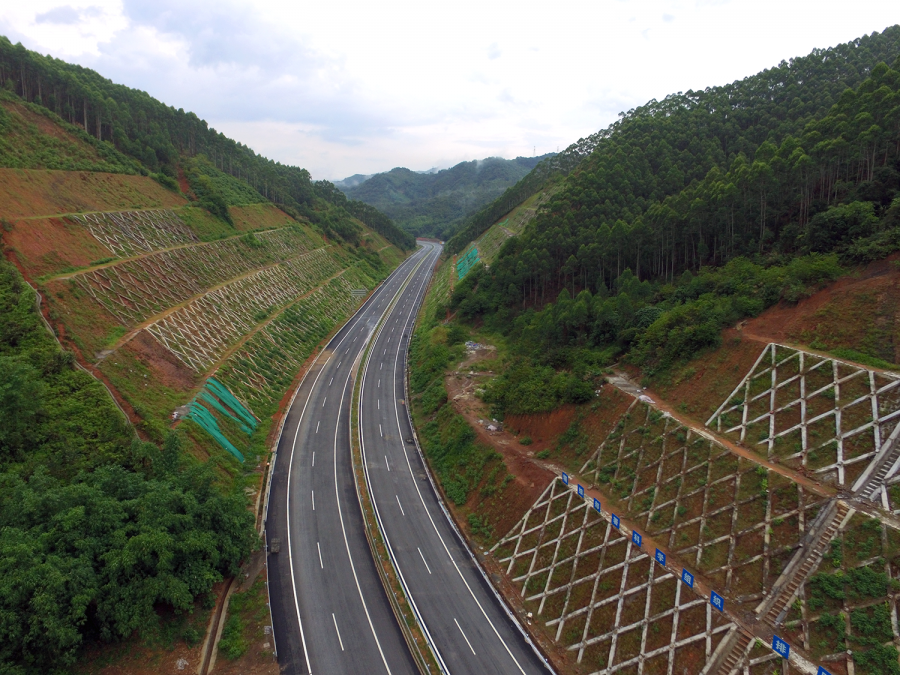 梧州最新道路，城市發(fā)展的脈絡(luò)與未來展望，梧州最新道路，城市發(fā)展的脈絡(luò)與未來展望展望