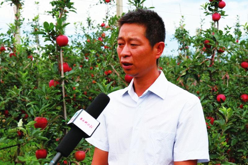 陜西蘋果產業(yè)轉型升級路徑研究，陜西蘋果產業(yè)轉型升級路徑探究