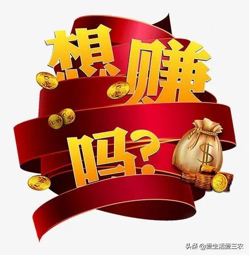 一天賺500，如何實(shí)現(xiàn)你的收入目標(biāo)，一天賺500，實(shí)現(xiàn)你的收入目標(biāo)指南