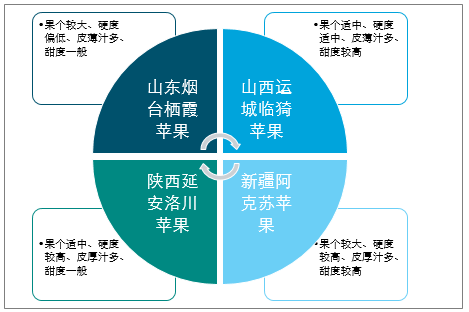 陜西蘋果產(chǎn)業(yè)全產(chǎn)業(yè)鏈深度解析，陜西蘋果產(chǎn)業(yè)全產(chǎn)業(yè)鏈深度探究