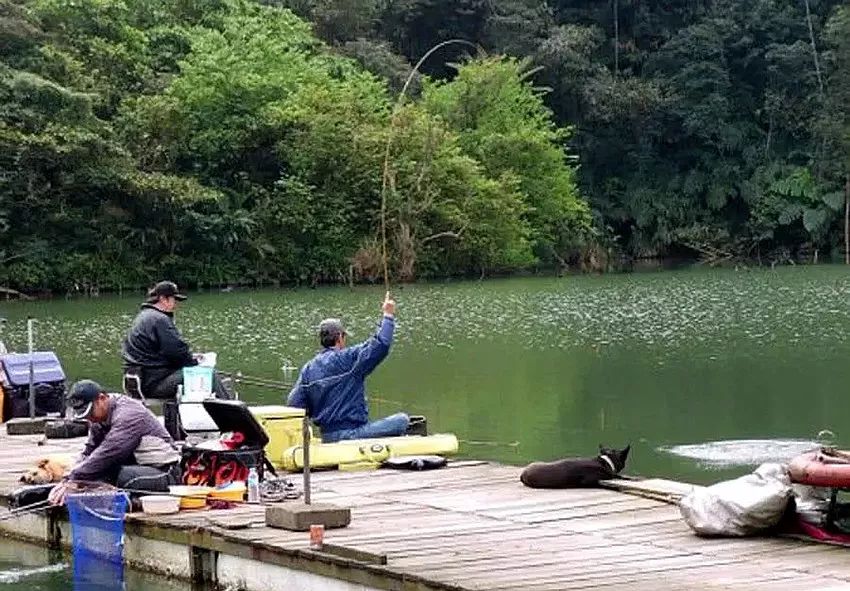 釣魚(yú)圈的奇事趣聞，釣魚(yú)圈里的奇聞趣事