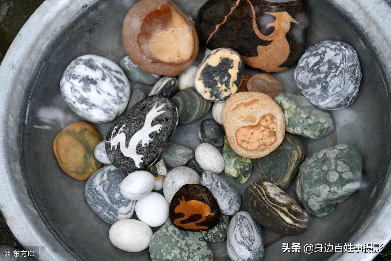 釣魚(yú)與龍的象征意義比較