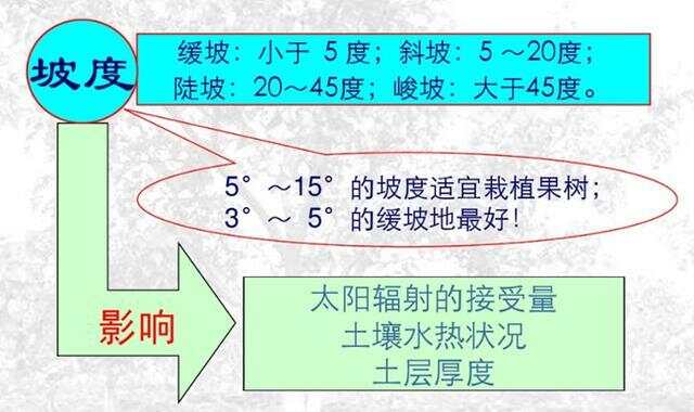 坡度超過25度耕地減少的原因分析，坡度超過25度耕地減少的原因探究