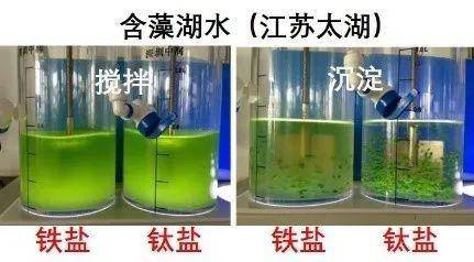 最新凈水材料的革新與應(yīng)用，凈水材料革新與應(yīng)用進(jìn)展