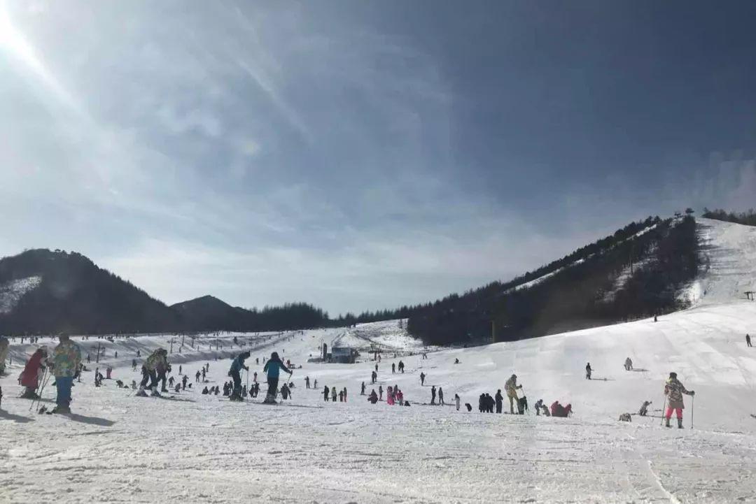 滑雪最好的地方，探索雪域奇境的魅力，探索雪域奇境，滑雪的最佳勝地