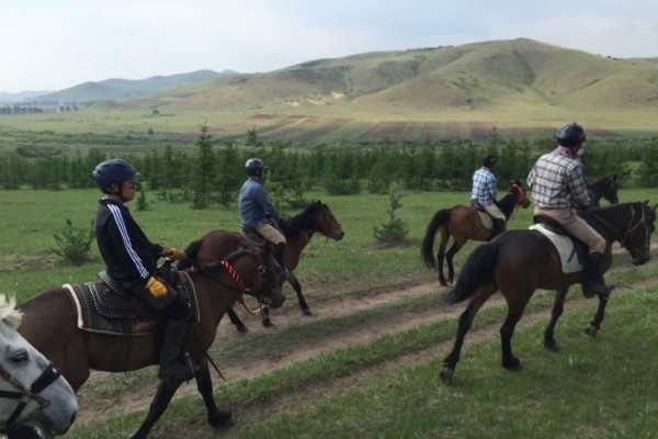 關(guān)于澳門特馬今晚開獎(jiǎng)的討論與警示，澳門特馬今晚開獎(jiǎng)討論及警示