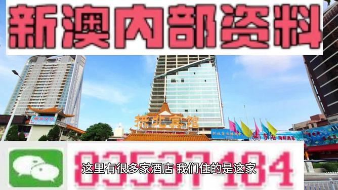 新澳門最精準(zhǔn)——探尋真相背后的警示，澳門真相探尋，警示背后的精準(zhǔn)揭秘