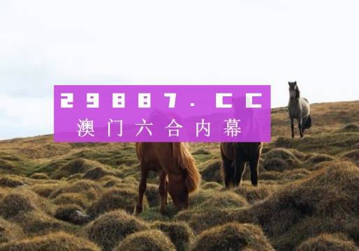 開獎(jiǎng)記錄深度解析