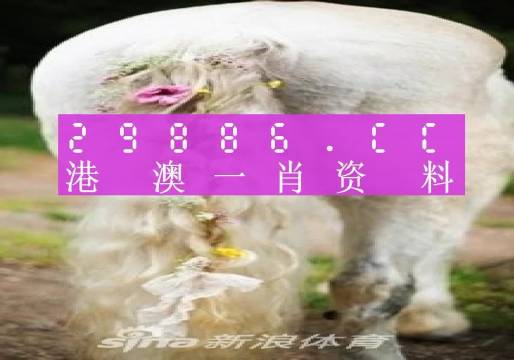 澳門(mén)內(nèi)部資料精準(zhǔn)大全2023，揭示背后的風(fēng)險(xiǎn)與挑戰(zhàn)，澳門(mén)內(nèi)部資料精準(zhǔn)大全揭秘，風(fēng)險(xiǎn)與挑戰(zhàn)并存于2023年