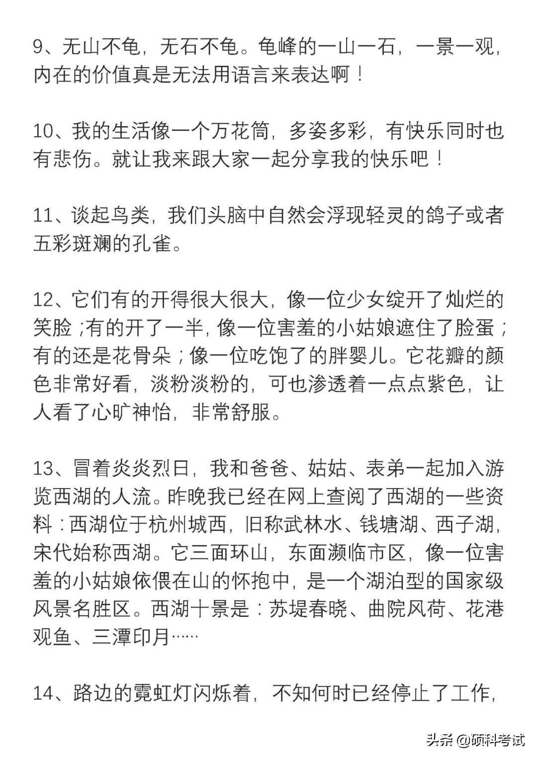 四年級(jí)新聞?wù)?，一則關(guān)于環(huán)保的新聞報(bào)道，四年級(jí)環(huán)保新聞?wù)?，關(guān)注環(huán)境保護(hù)的最新動(dòng)態(tài)