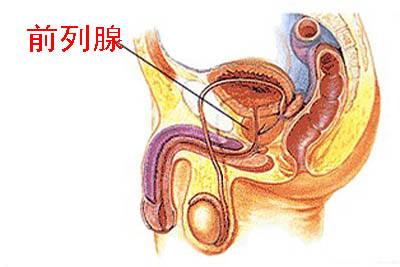 前列腺自我按摩手法圖解，一種有效的自我保健方法，前列腺自我按摩手法圖解，有效保健新方法！