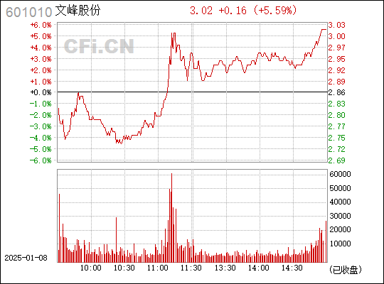 探索文峰股份，601010的獨(dú)特魅力與未來展望，文峰股份（601010）的獨(dú)特魅力及未來展望探索