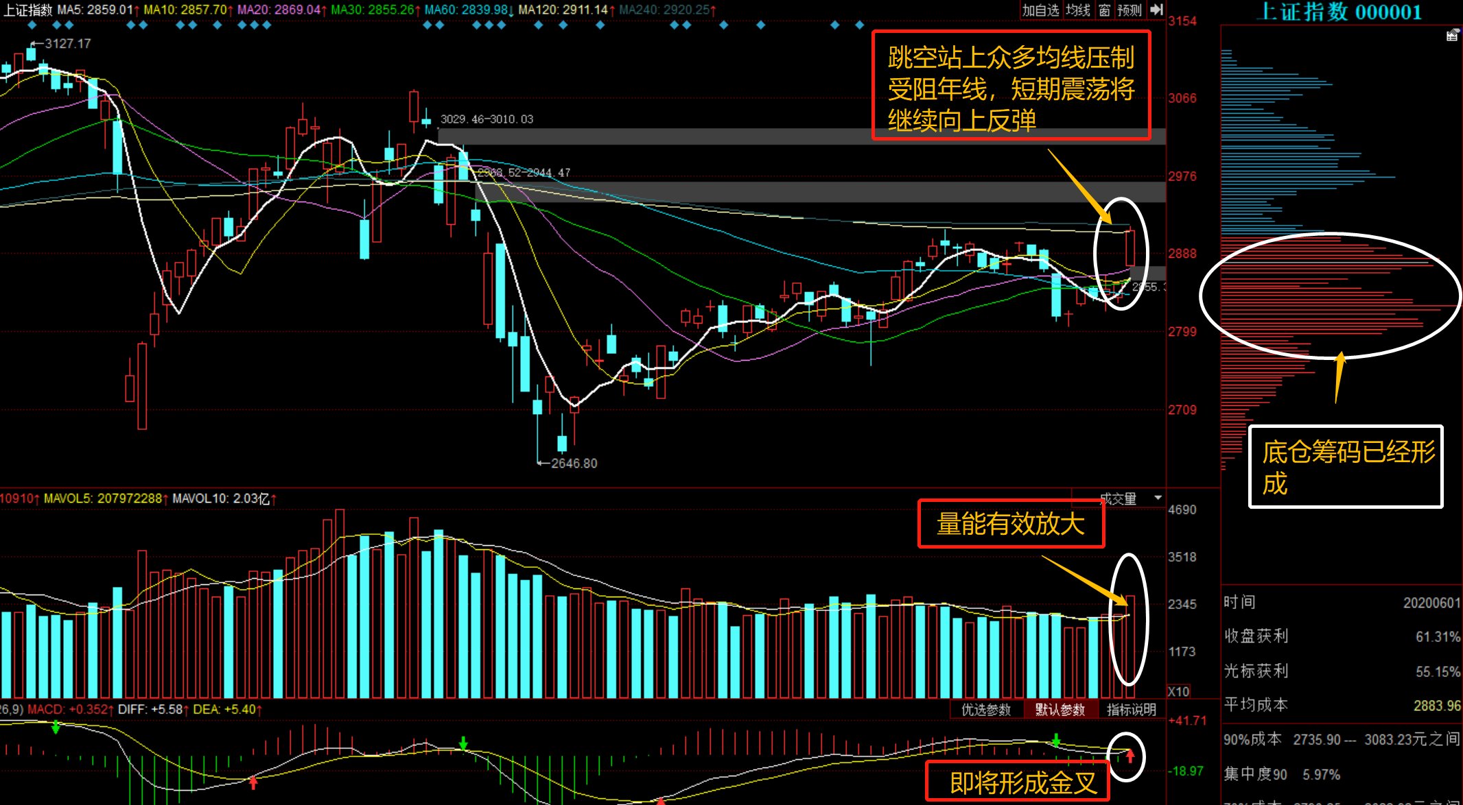 股票行情深度解析，聚焦600736，股票深度解析，聚焦代碼600736的行情動態(tài)